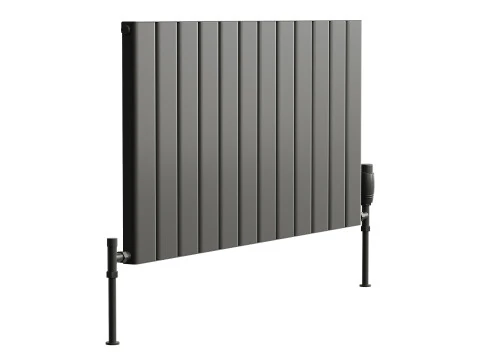 Reina Vicari Designer Radiator 3D Model