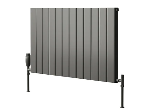 Reina Vicari Designer Radiator 3D Model