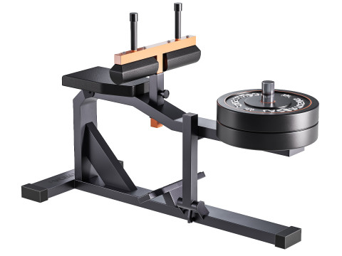 シーテッドカーフマシンプレート搭載 3Dモデル