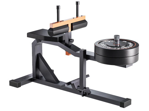 Seated Calf Machine Plate Loaded 3D Model