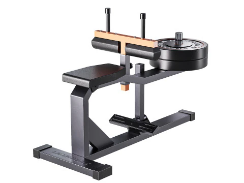 Seated Calf Machine Plate Loaded 3D Model
