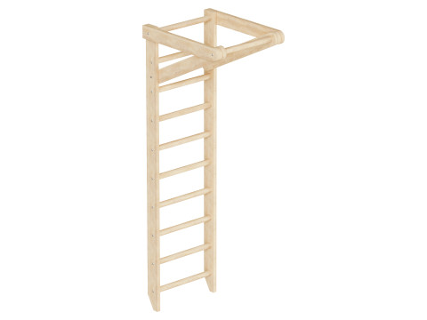 Tembok Swedia dengan Horizontal Bar Sport 1-220 Model 3D