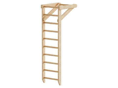 Tembok Swedia dengan Horizontal Bar Sport 1-220 Model 3D