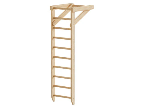 क्षैतिज बार स्पोर्ट 1-220 के साथ स्वीडिश दीवार 3D मॉडल