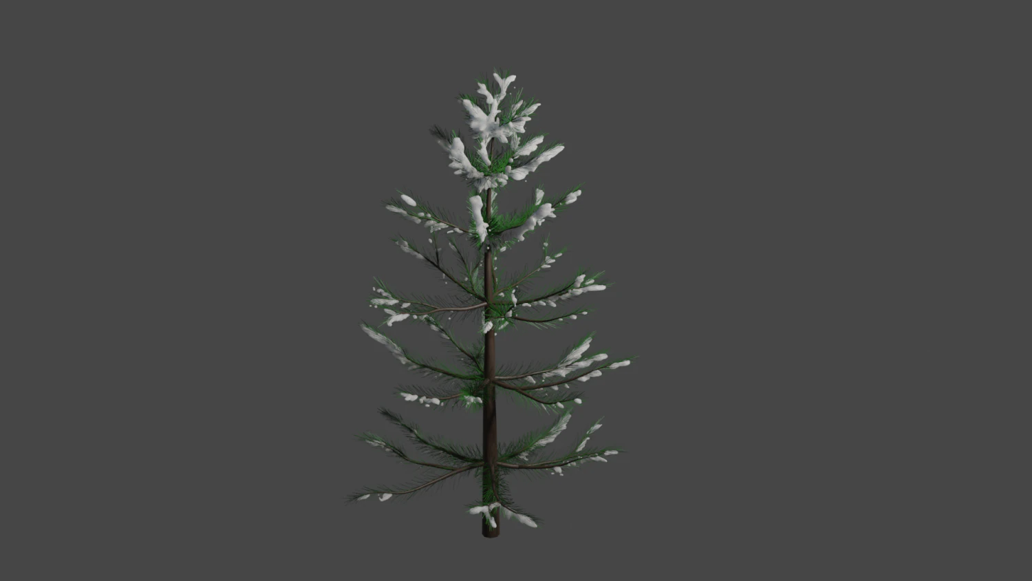 Fir 3D Model .c4d .max .obj .3ds .fbx .stl .blend 