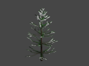 Fir 3Dモデル