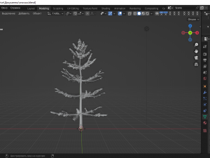 Fir 3Dモデル