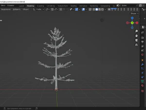 Fir 3D Model