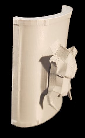 Boar Shield 3D Принт Модель .c4d .max .obj .3ds .fbx .stl .blend 