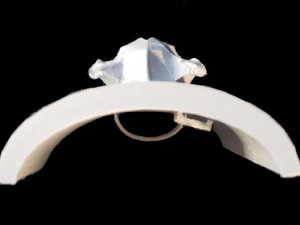 Boar Shield 3D Принт Модель