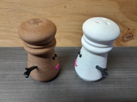 Salt and Pepper Shaker 3D Print Model