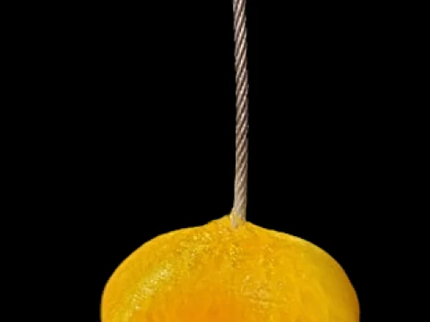 Klipsy na płocie i popielniczka Model do druku 3D