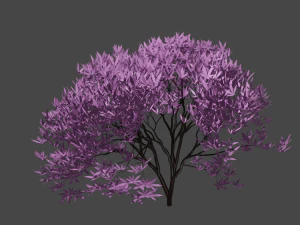 Sakura 3D Model