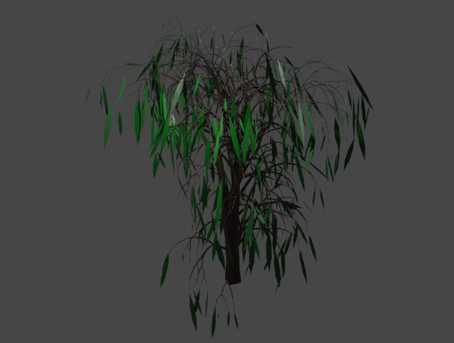 Birch tree 3D 模型 .c4d .max .obj .3ds .fbx .stl .blend 