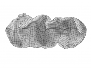 Scrunchie Modelo 3D