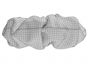 Scrunchie Model 3D