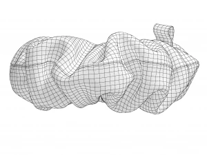 Scrunchie Model 3D