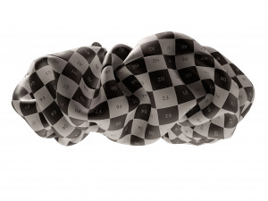 Scrunchie 3D Model