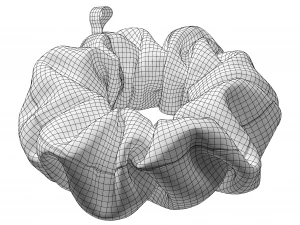 Scrunchie 3D Model