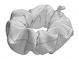Scrunchie 3D Model