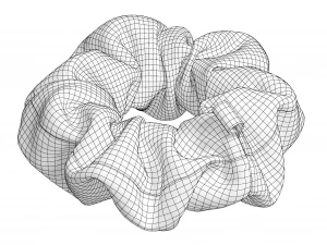 Scrunchie 3D Model