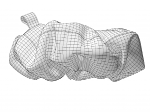 Scrunchie 3D Model