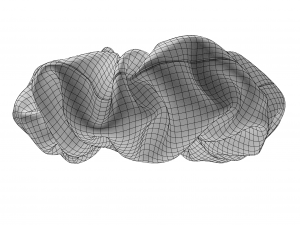 Scrunchie 3D Model