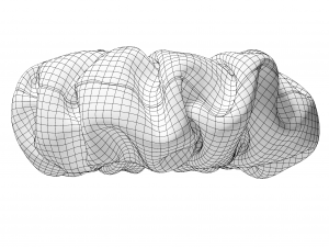 Scrunchie Model 3D