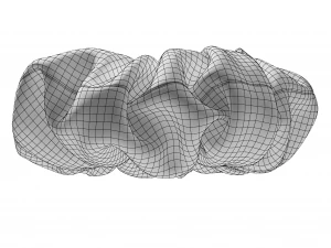 Scrunchie 3D Model