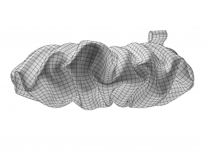Scrunchie 3D-Modell