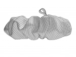 Scrunchie 3D Model