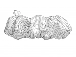 Scrunchie 3D Model