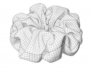Scrunchie 3D Model
