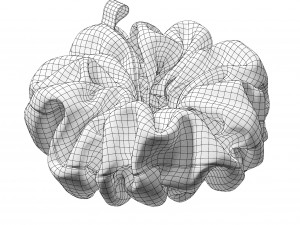 Scrunchie Modelo 3D