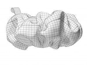 Scrunchie 3D Model