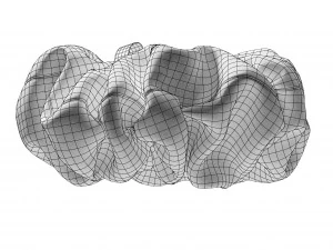 Scrunchie 3D Model