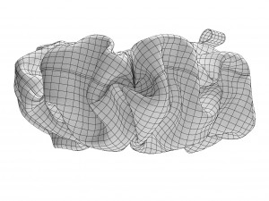 Scrunchie Modelo 3D