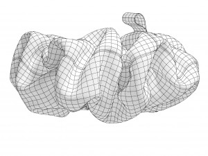 Scrunchie Modelo 3D