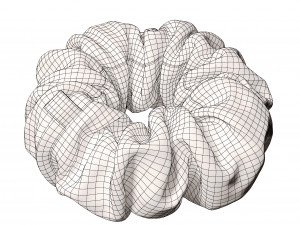 Scrunchie 3D Model