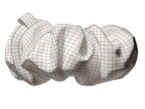 Scrunchie 3D Model