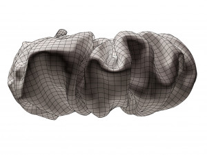 Scrunchie 3D Model