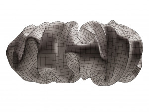 Scrunchie 3D Model