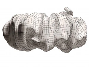 Scrunchie 3D Model