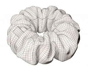 Scrunchie 3D Model