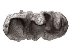 Scrunchie 3D Model