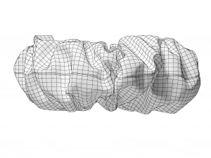 Scrunchie 3D Model