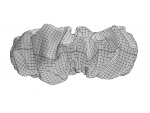 Scrunchie 3D 模型