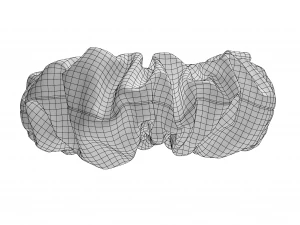 Scrunchie 3D Model