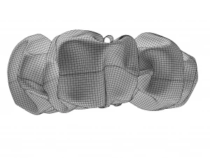 Scrunchie 3D Model