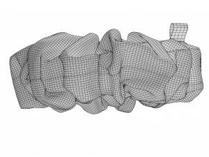 Scrunchie 3D Model